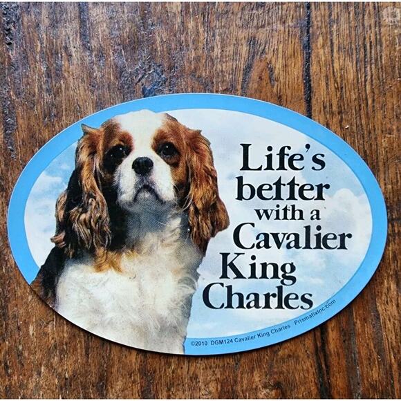 Life's Better with a Cavalier King Charles 6x4 Oval Dog Magnet - Picture 1 of 3